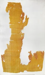 Fragment de matériau avec motifs floraux et canards mandarins