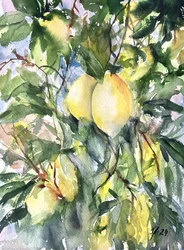 Une branche de citron éclatante