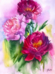 Des pivoines aux couleurs éclatantes