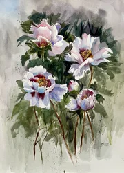 Pivoines à l