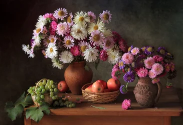 Astres colorés et fruits