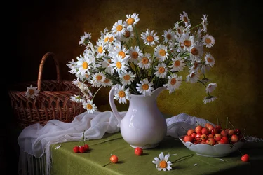 Marguerites fraîches et cerises