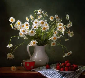 Marguerites fraîches et fraises