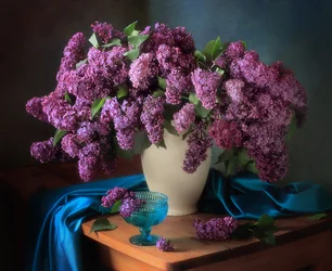 Nature morte au lilas mélancolique