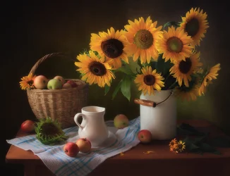 Récolte de tournesols rustiques