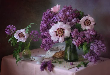 Fleurs de pivoine lilas au printemps
