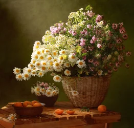 Marguerites d