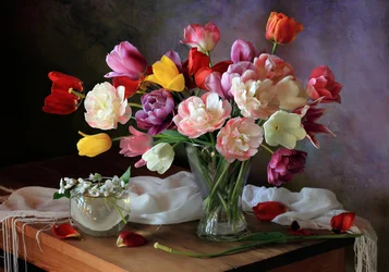 Des tulipes printanières aux couleurs éclatantes