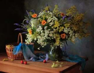 Fleurs sauvages estivales aux couleurs éclatantes