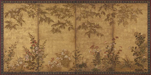 Arbre de mimosa, coquelicots et autres fleurs d