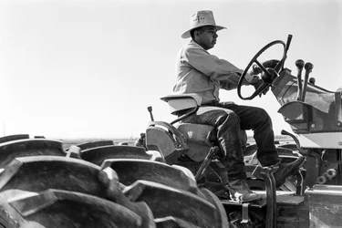 Agriculteur familial Ed Ker au ranch A.M. Ker, un colon agricole cultivant de la luzerne