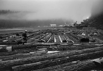 Opérations de bûcheronnage par Georgia-Pacific Corp. dans les forêts d