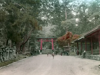 Entrée du sanctuaire des lanternes dans le parc de Kasauga Taisha, Nara, vers 1900 - 1915 (photographie)