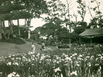 Jardin d