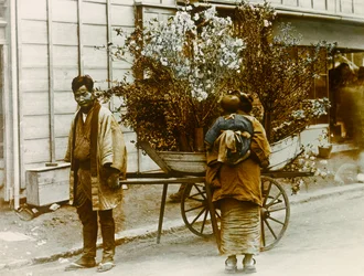 Vendeuse de fleurs itinérante dans les rues de Tokyo, vers 1900 - 1915 (photographie)