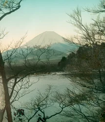 Vue du mont Fuji depuis le lac Shoji, vers 1900 - 1915 (photographie)
