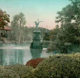 Vue de la fontaine de la Grue dans le parc Hibiya, Tokyo, vers 1900 - 1915 (photographie)