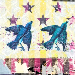 Oiseaux en Série