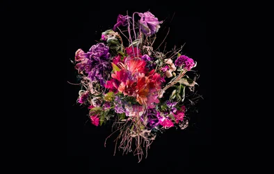Bouquet VIIII