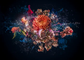 Collage de bouquet, 2017