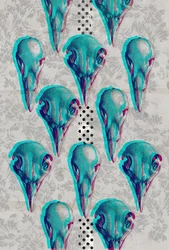 Série de crânes, 2016