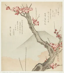 Mont Fuji et un prunier en fleurs