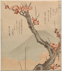 Prunier avec le mont Fuji