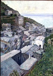 Toits à Riomaggiore