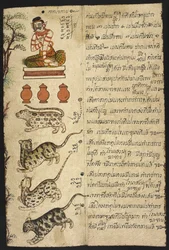 Or 4830 « Manuel thaïlandais de divination (Phrommachat), contenant des horoscopes fondés sur le zodiaque chinois »