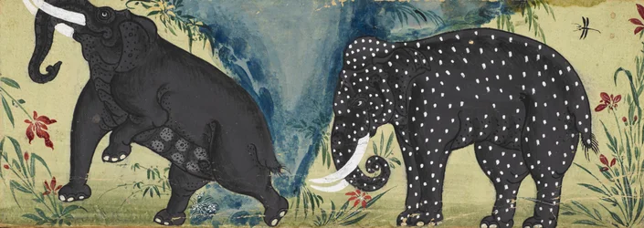 Deux éléphants près d