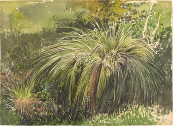 Un coin de prairie avec des herbes de fontaine, vers 1870