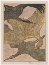 Trois oiseaux en vol