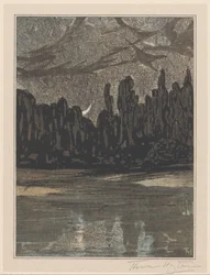 Paysage nocturne avec oiseaux migrateurs