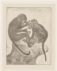 Deux singes se cherchant des puces