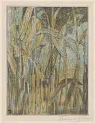 Oiseau dans les roseaux