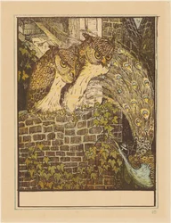 Deux chouettes sur un mur