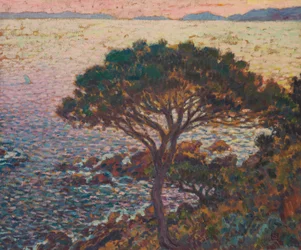 Cap Bénat, le pin sur la côte