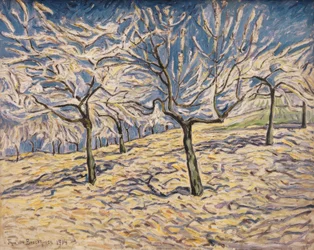 Obstbäume au printemps