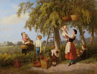 La récolte des cerises