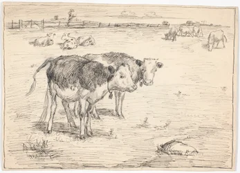 Un couple de veaux sur "Fladen", Saltholm