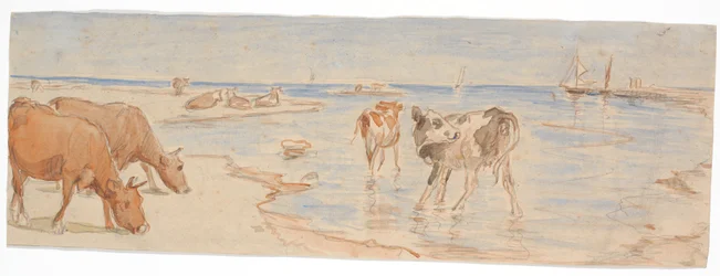 Vaches et veaux près du lieu d