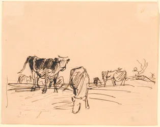 Vaches dans un champ