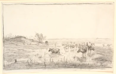 Vaches dans les prés près de Mejlgaard