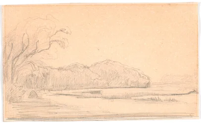 Paysage avec lac entouré de forêt