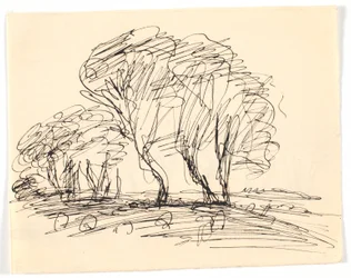 Esquisse de paysage avec de grands arbres