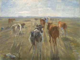 Longues ombres. Bétail sur l