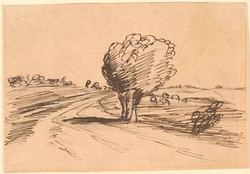 Virage avec un Saule