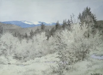 Loin, très loin dans la forêt