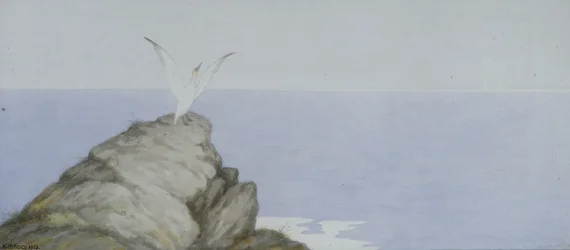 Oiseau de Mer
