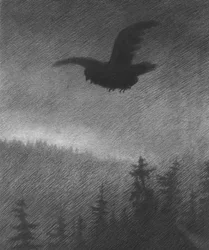 La peste noire (dessin)